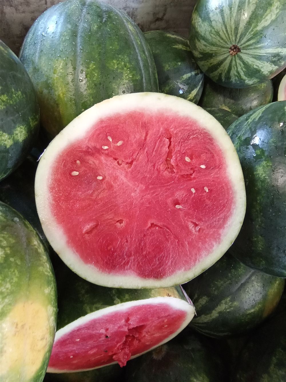 Freshly cut Willis seedless watermelon showing deep red flesh