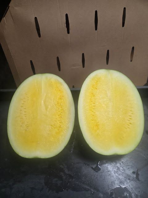 Cut yellow-meat seedless watermelon halves